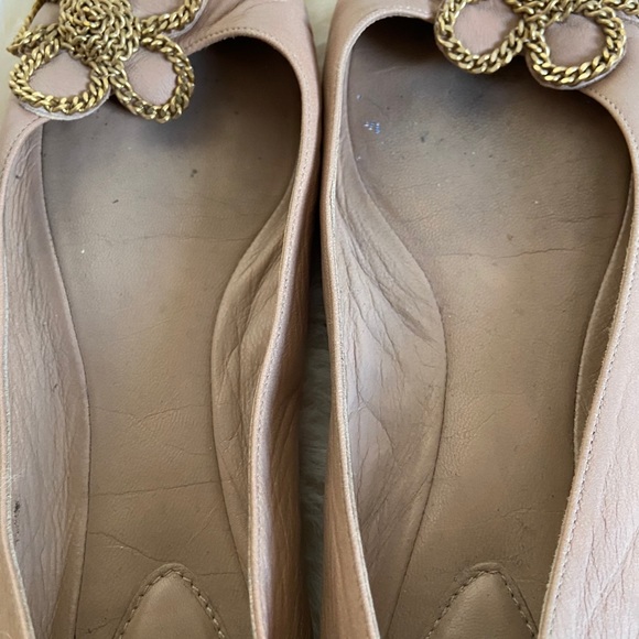 Chloe Gladiolo Taupe Embellished Ballet Flats - Picture 6 of 8